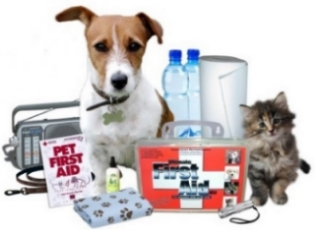 pet dog cat puppy first aid kit